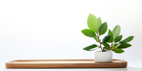 Platform with tree branch and leaf on white background, showcasing natural beauty and health products, representing spring or summer.