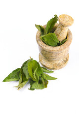 dry mint leaves and mortar on a white background