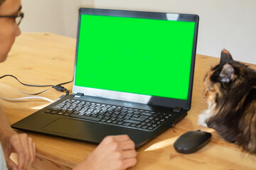 Young woman using her laptop with green screen. Home office desk with cat. Chroma key.