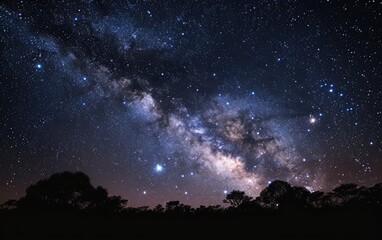 The night sky is filled with twinkling stars and the Milky Way galaxy