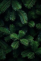 Fototapeta na wymiar Nature's Embrace: Lush Pine Tree Branches Close-Up