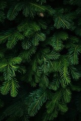 Nature's Embrace: Lush Pine Tree Branches Close-Up