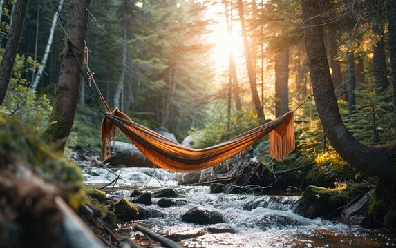 A hammock is strung between two trees in a tranquil forest setting