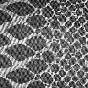 Denim modern monochromatic background with snake skin print. Black and white texture universal