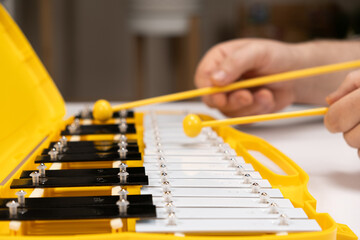 Playing with sticks on a metallophone, a metal xylophone. Percussion Musical Instrument