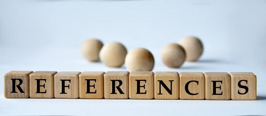 REFERENCES - word on a wooden block on a white background with wooden balls