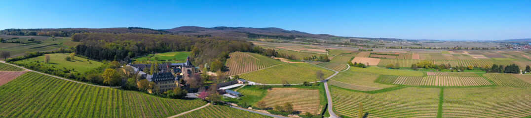 Aerial view of the Vollrads castle in the middle of vineyards near Oestrich-Winkel/Germany in spring - obrazy, fototapety, plakaty