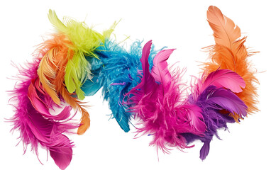 Feather Boa On Transparent Background.