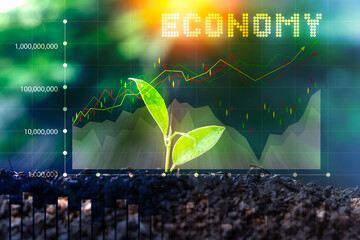Gold coins and seedlings symbolizing the concept of investment growth