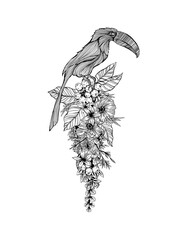 illustration pour tatouage en noir et blanc détouré d'un oiseau toukan sur des feuilles et fleures 