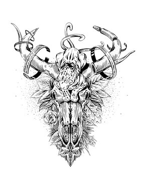 illustration en noir et blanc détouré pour un tatouage montrant un félin sur un crâne 