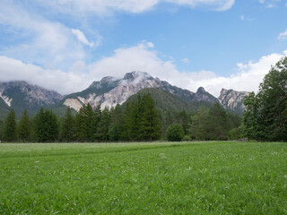 Green Meadows, Fir Trees and Italian Alps Mountains in the Background on a Summer Day - San Vigilio Marebbe, Italy