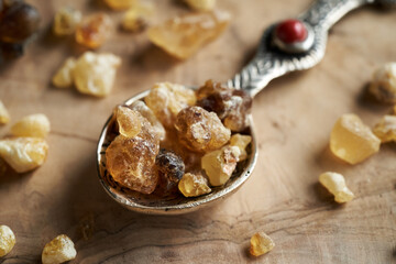 Frankincense resin crystals on a spoon, closeup