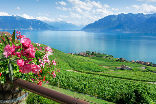 View at Lavaux vineyard and Geneva lake in Switzerland