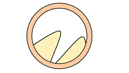 Illustration of a circle with two curved lines