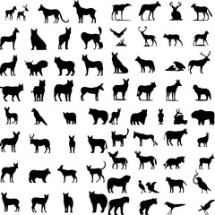 vector illustration set of animals