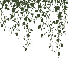 tree, nature, vector, illustration, silhouette, branch, leaf, design, plant, floral, black, flower, art, drawing, decoration, pattern, spring, bird, element, season, frame, forest, leaves, old, trunk,