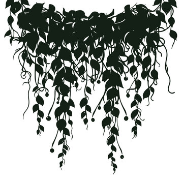 dark green hanging vines silhouette clip art preview