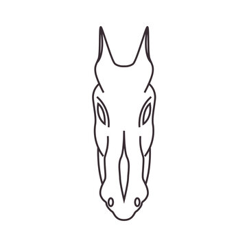 head horse line icon logo vector