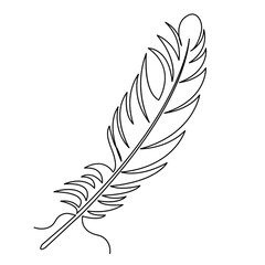 Obraz premium Bird feather continuous single line hand drawn outline vector art illustration