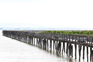 Molo, Lago Trasimeno