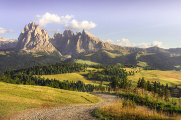 Fototapeta na wymiar Alpe di Siusi or Seiser Alm, Sassolungo mountain and pathway, Dolomites Alps, Italy.