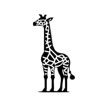 giraffe cartoon isolated on white