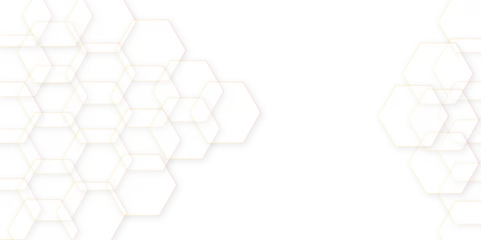 Foto auf Acrylglas Abstract white and grey color hexagonal geometric background. Digital art illustrator background. Hexagon shape, white, shiny black. honeycomb white Background, shadow texture. © Shahadath