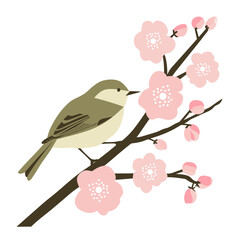ウグイスと桜のベクターイラスト、春
