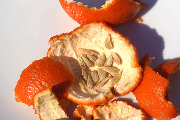 Close up mandarin seeds and peels on a white plate. January, Netherlands.
