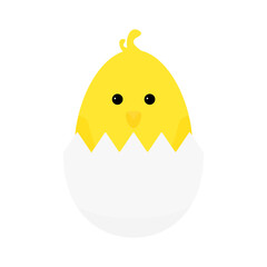 cute little chicken in an egg on a white background