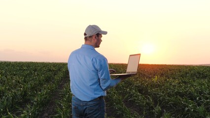 Serious farmer writes report on laptop working on corn field. Focused agronomist touches cap...