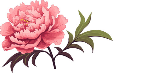 Peony flower icon. Peonies on transparent background. Watercolor pink peony flowers. Realistic peony flowers with leaves . Hand drawn botanical floral decoration