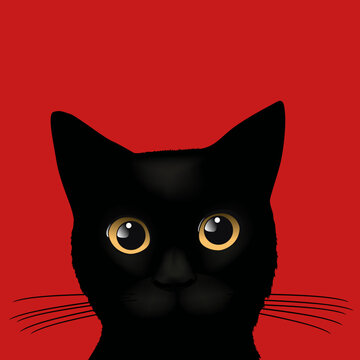 Illustration montrant la t&ecirc;te d&rsquo;un petit chat noir aux yeux tristes, sur un fond rouge.