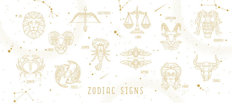 Modern magic witchcraft astrology background with zodiac constellations in the sky. Vector illustration