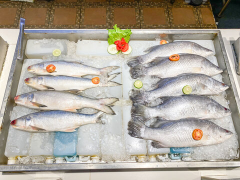Fresh frozen barramundi and fourfinger threadfin fish with ice sold at a modern fish market. Fish caught by fishermen. Concept for whole healthy food, nutrition, omega-3, animal protein, seafood.