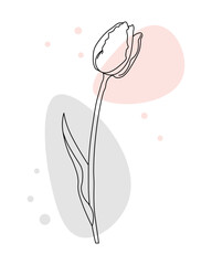 Outline tulip flower with pastel color spots added, line art. Floral poster, postcard, vector - obrazy, fototapety, plakaty