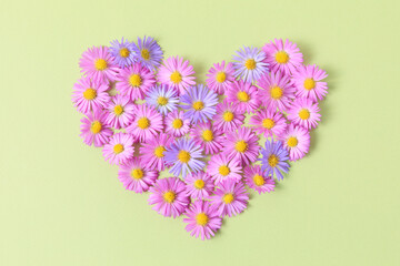 Heart made of pink and purple asters flowers on green background. Creative spring idea, stylish trendy greeting card. Natural minimal concept. Flowers heart. Flat lay, top view.