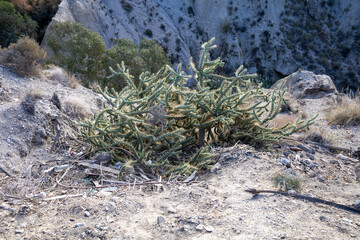 Great view of the Tabernas Desert (Desierto de Tabernas) location of various Western films. Almeria, Andalucia, Spain