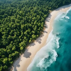 AI generated illustration of aerial view of a serene sandy beach embraced by lush green forest