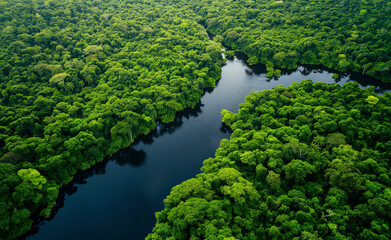Fototapeta na wymiar Aerial view of Amazon rainforest in Brazil, South America.