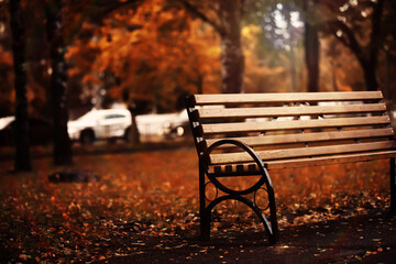 Autumn park bench, rainy texture background. Rain in autumn park, drops of water, wind.