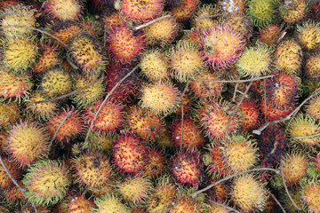 Stacks of tropical rambutan fruits from Asia inside the traditional market of a local city