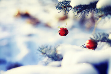 Christmas tree background and Christmas decorations with snow, blurred, sparking, glowing. Happy...