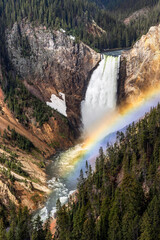 A colorful morning rainbow graces the mist of the Lower Falls of the Yellowstone River, as the waterfall plunges into the Grand Canyon of the Yellowstone in Yellowstone National Park in Wyoming. - 712591638