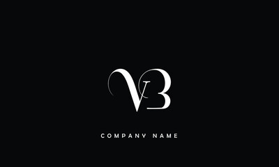VB, BV, V, B Abstract Letters Logo Monogram