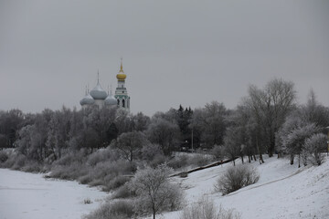 White snow on a bare tree branches on a frosty winter day, close up. Natural background. Selective botanical background.