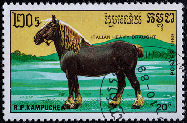 Cambodia, circa 1989: stamp printed in Cambodia.Horse series.shows     Italian heavy draft, is a...