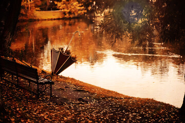 Autumn park bench, rainy texture background. Rain in autumn park, drops of water, wind.