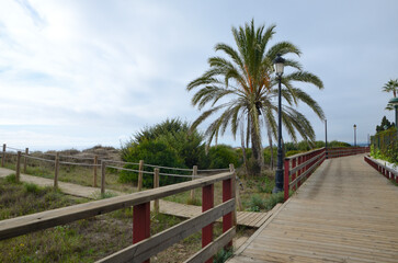 Fototapeta na wymiar Walkway in Marbella coast